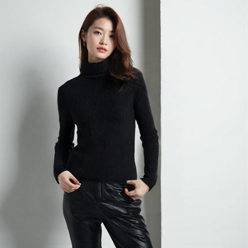 더아이잗 폴라니트