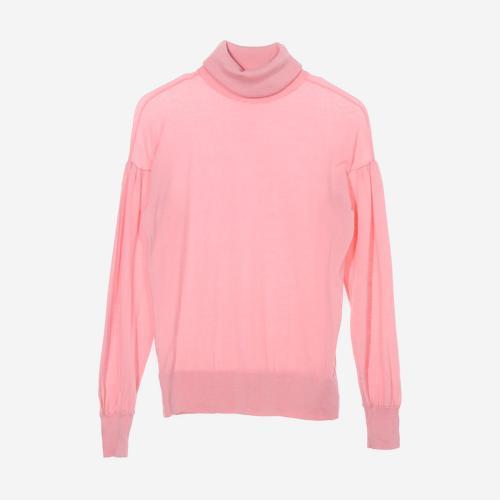 앤테일러 폴라니트