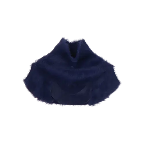 사이다 폴라니트
