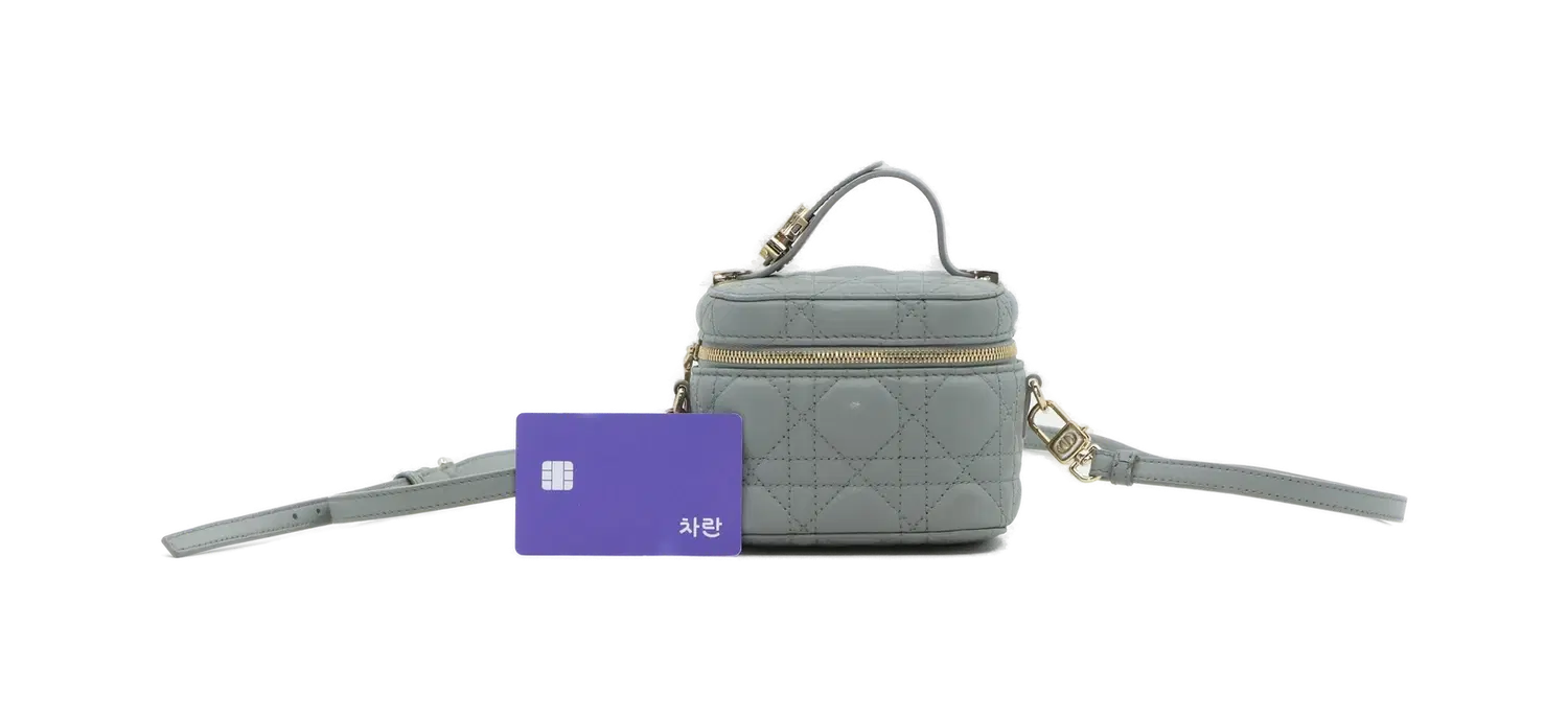 크리스찬 디올 핸드백 2