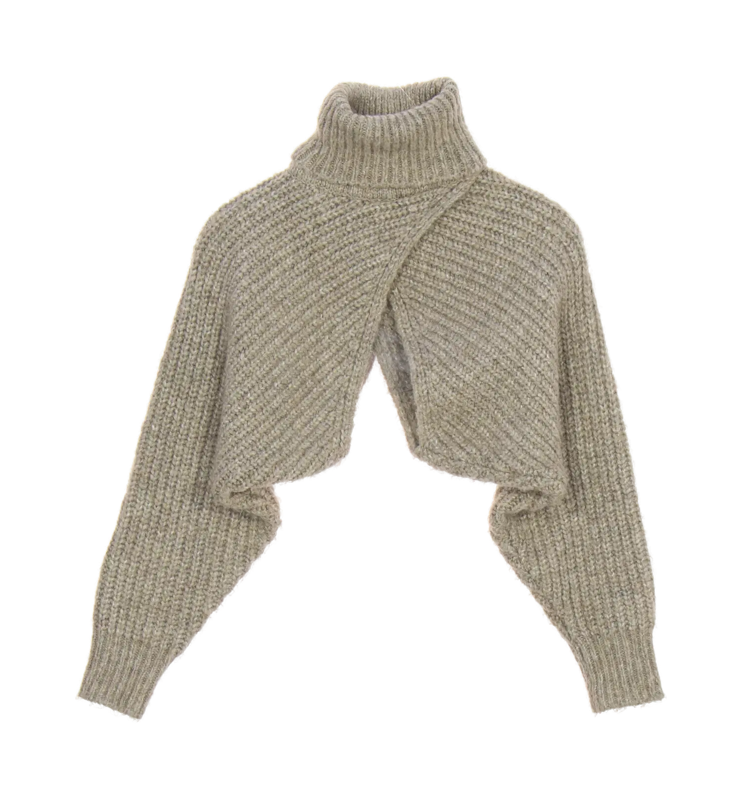 자라 폴라니트 1