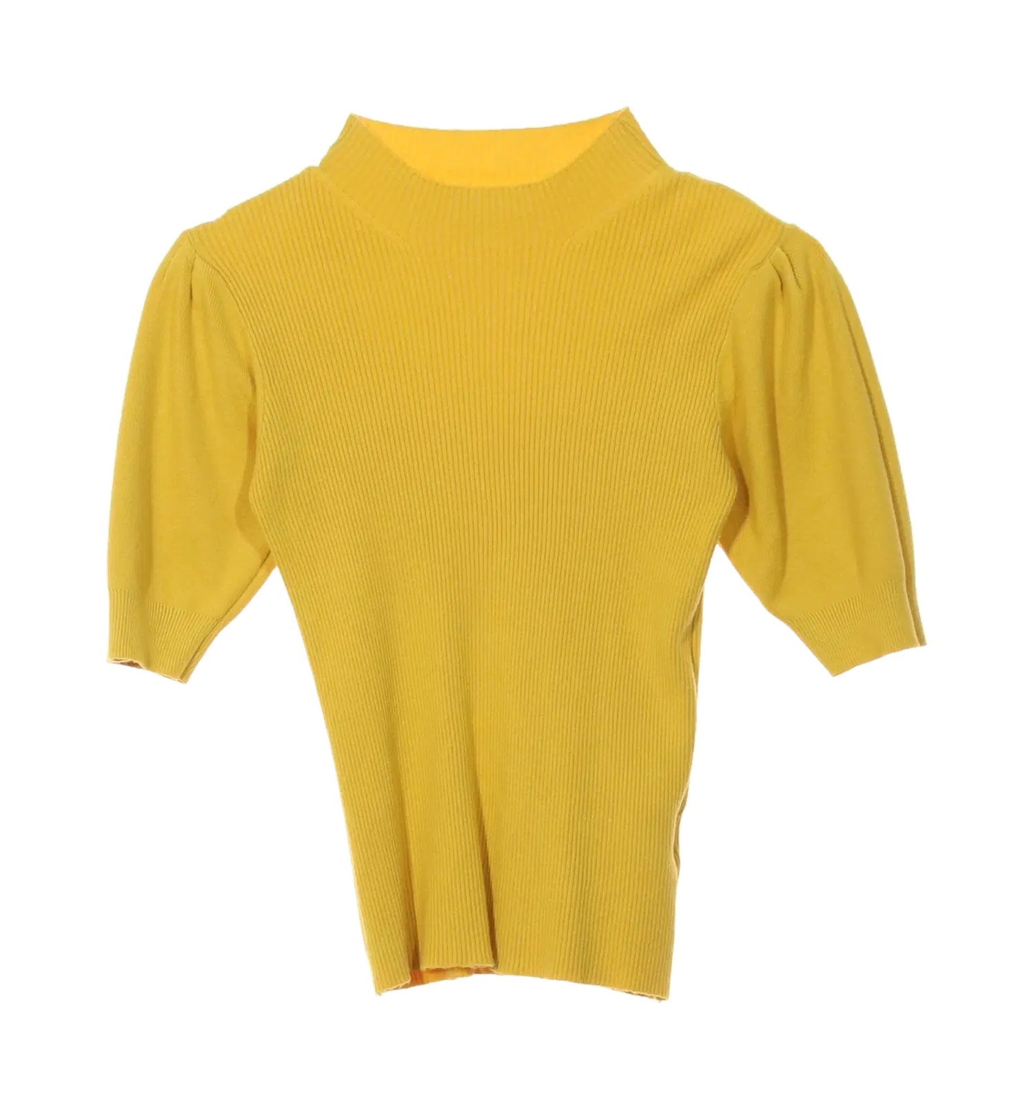 반에이크 폴라니트 1